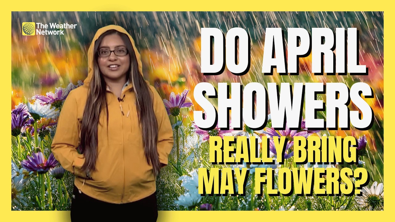 Do April Showers Really Bring May Flowers? | #AskaMet