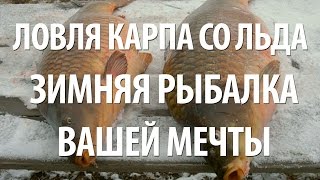Ловля карпа на балансир зимой