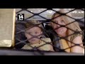 The Mick FOX 2x18 Promo The Car