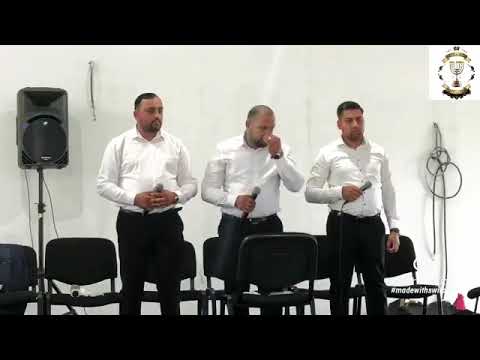 🎼Ionut Sorica, Cristi Alexe, Vasile calin - 🔊Voia ta🎶