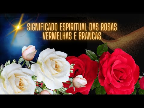 , title : 'significado espiritual das rosas vermelhas e brancas'