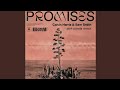 Calvin Harris & Sam Smith - Promises (Pink Panda Remix)