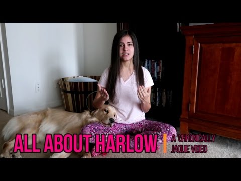 All About Harlow! 🐶