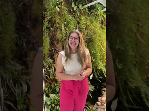 Depoimento em vídeo — Ana