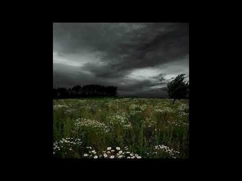 [FREE] skele x loveless x cherryrizla / emo guitar Type Beat - in case u care (Prod.2001 x Pekarot)