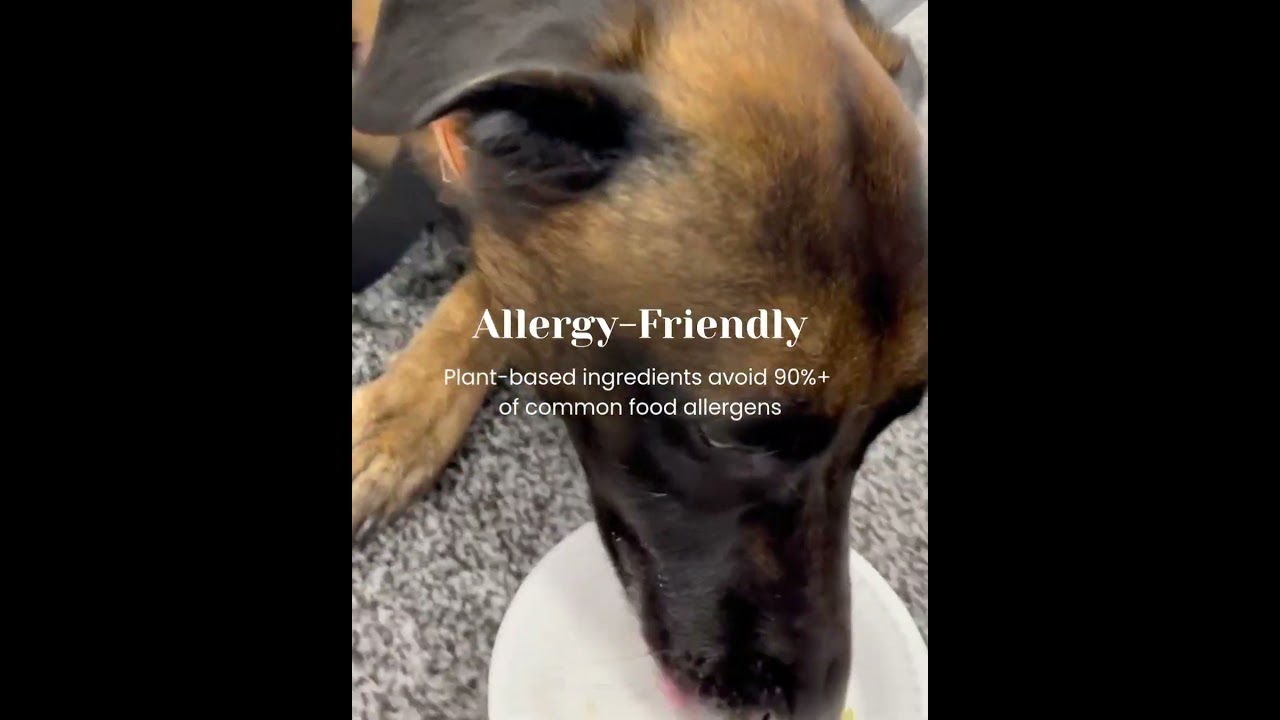 Allergy friendly