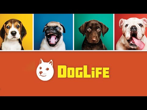 Doglife - BitLife Dogs Gameplay Android - YouTube