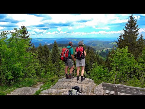 Panorama vom Zweiseenblick, 1289 M | Feldberg, Hochschwarzwald 🇩🇪