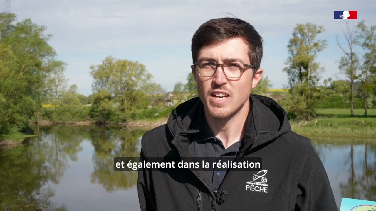 Image d'illustration de la vidéo