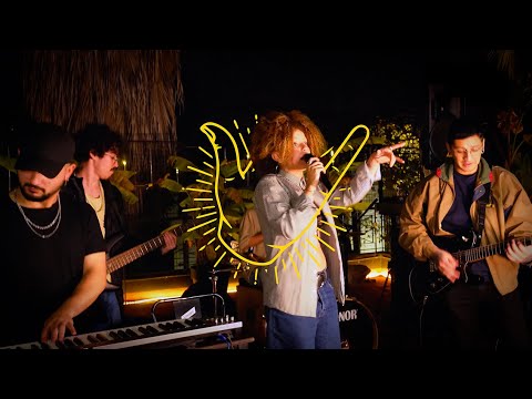 VIBES Acoustic Sessions #12 | PALO