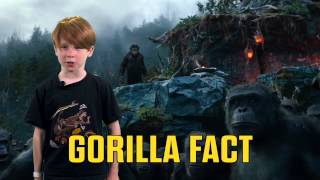 Dawn of the Planet of the Apes: Ape Facts!