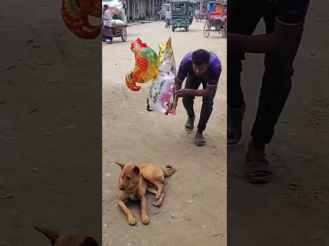 What next? 🤣 #funny #viral #viralvideo #viralshorts #viralshort #comedy