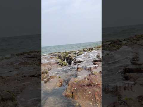 Beach ⛱️ Lovers ❣️ #vizag #beach #telugu #song #travel #shorts #reels #trending #sylppb_hhc