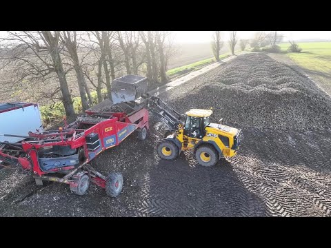 CTM ‘OPTIMUS’ and JCB 435S loading sugar beet - Carter Haulage 