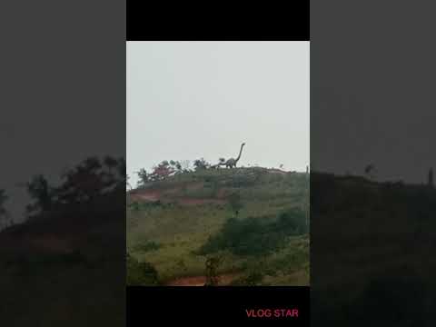 tsov ev ntxawm kawm mua