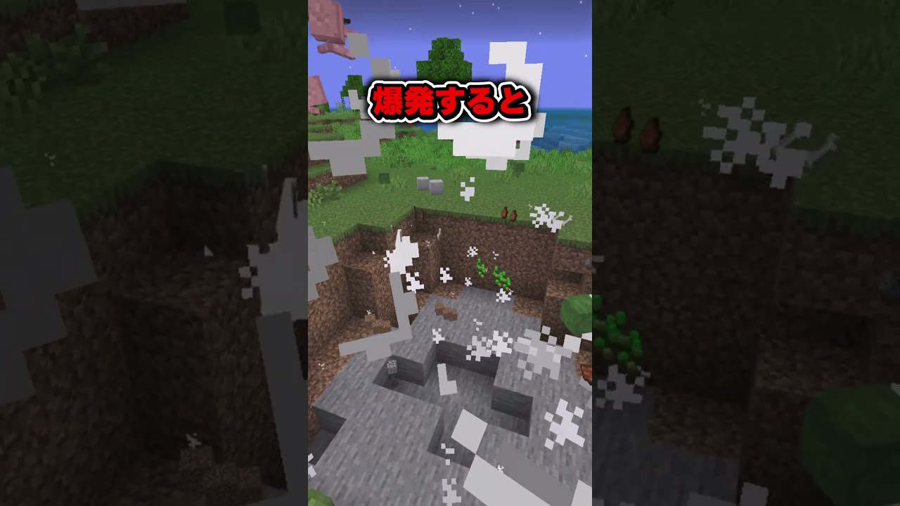 意外と知らない統合版とJava版の違い