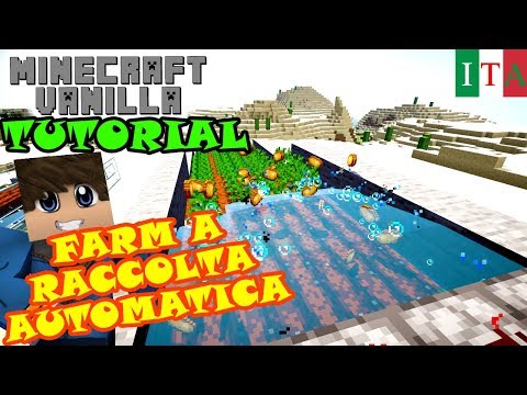 🌽 🥕 🥔 FARM di grano, patate, carote a RACCOLTA AUTOMATICA - MINECRAFT TUTORIAL ITA
