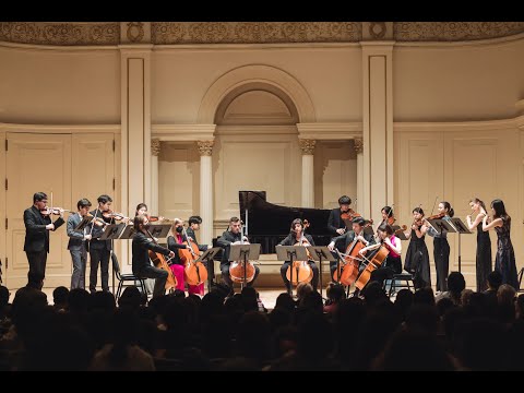 Musart New Year Concert Official Trailer