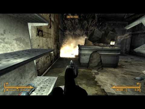 Day 11 - Killing an NPC each day until Fallout 5 is released