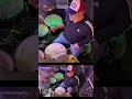 Live Stream Clip 1