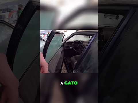 Vamos arrancarlo después de 10 años