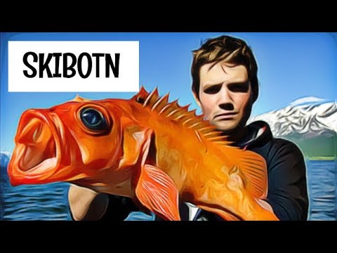 NORJASSA TIENVARSILLA KALASSA