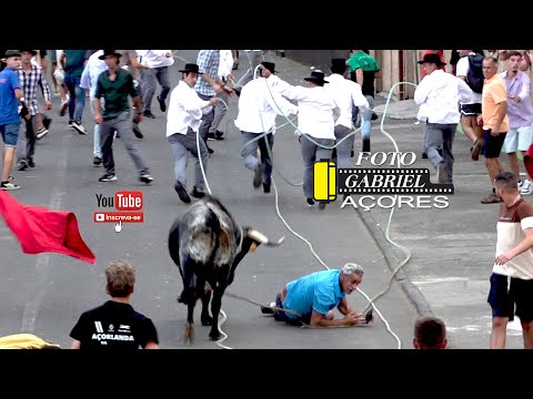 Tourada à Igreja Fontinhas 30-07-2025 Ganadeiros JAF- HF- ER- JG.