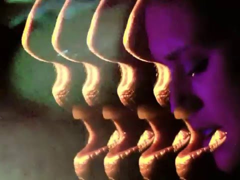 Gala Brie - Noel Salvaje [Videolyric Oficial]