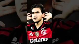 JARDIM CALA CRÍTICAS! Pedro é COMPLETO! #Pedro #Flamengo #Mengão