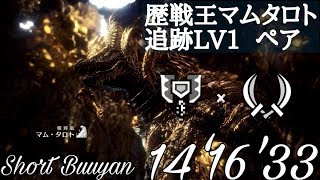 【MHW】歴戦王マムタロト　Lv1　ペア　チャアク×双剣　14'16'33
