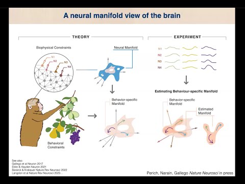 Foundations of foundation models | Juan Gallego | NeuroFM Workshop