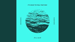 it's okay to feel that way Music Video