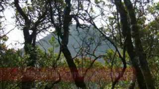 preview picture of video 'Prodigits Gede Mountain Gathering, 8-11 April 2009'