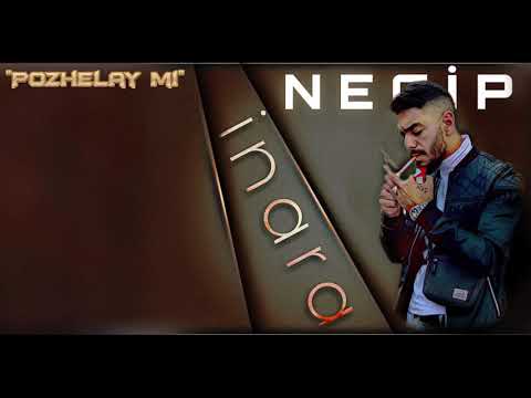 Necip - "Pozhelay mi" / "Пожелай ми" (Official Music) | Inara |