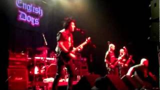 English Dogs Denver 2/19/2012 Nosferatu