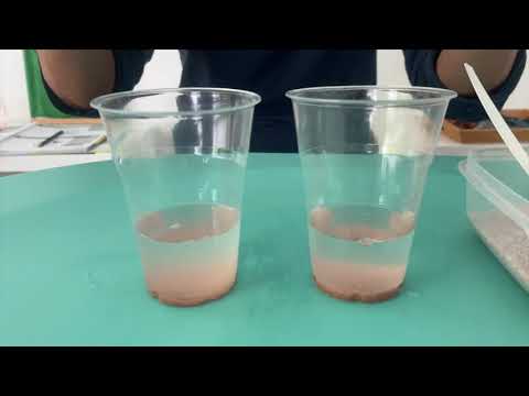 Science Experiment - Stalactites