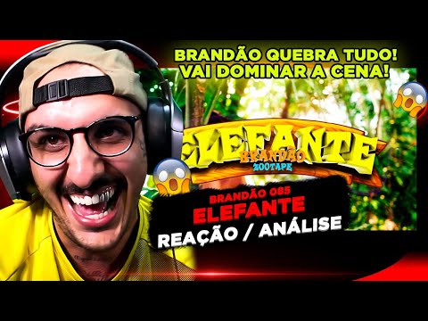 DIFERENCIADO!!!! BRANDÃO085 - ELEFANTE (ZOOTAPE) [REAÇÃO/ ANÁLISE]
