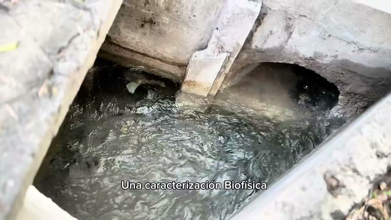 Proceso: Elaboración del plan de protección y conservación de la cuenca del río Proyecto PCC Selegua