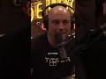 Joe Rogan And Jordan Peterson On WEAK Men Viral Mentalhealth Men