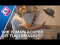 Gemaskerde Haagse chef hit op TikTok - OMROEP WEST