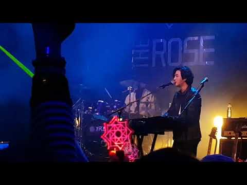 The Rose ( I.L.Y.) live in BERLIN 18.11.2018