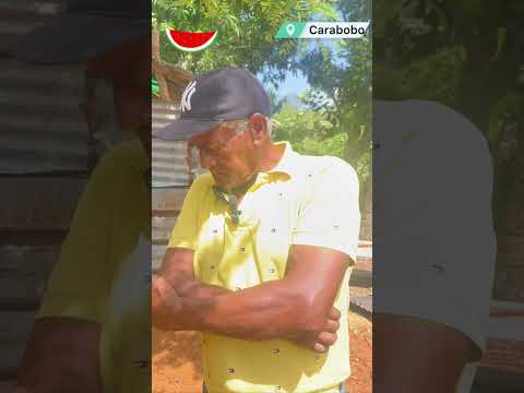 Pareja de adultos mayores en Morón siguen desamparados a un mes del terremoto