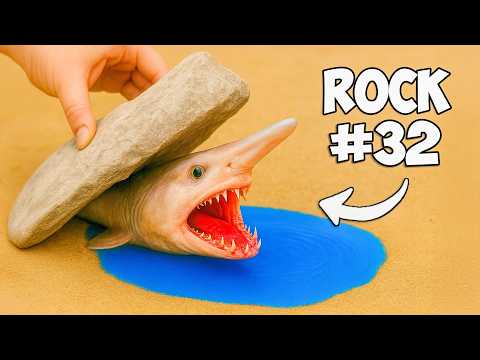 I Flipped 100 Rocks, Here’s What I Found...