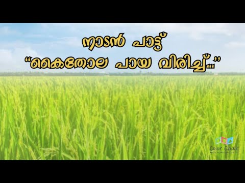 Nadanpattu | കൈതോല പായ വിരിച്ച് നാടൻ പാട്ട് | Kaithola Paya Virichu Instrumental