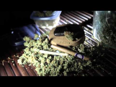 Video thumbnail for I’m a ¥ Plant