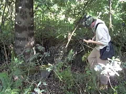 Medal of Honor: a las afueras de Monte Cassino