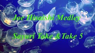 Download lagu Joe Hisaishi Medley (久石譲メドレー) - Katojin Music カトジンミュージック mp3