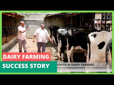 20 cows on an 1/8th of an acre - Dairy farming success story - FarmKenya