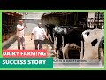 20 Cows On An 1 8th Of An Acre Dairy Farming Success Story FarmKenya