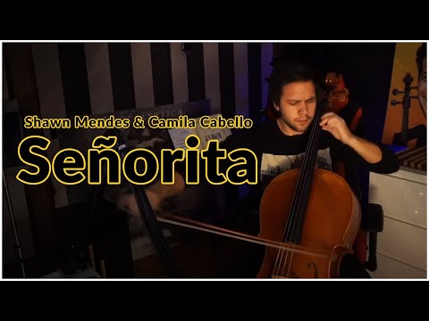 Shawn Mendes & Camila Cabello - Señorita (Cello Instrumental Cover)